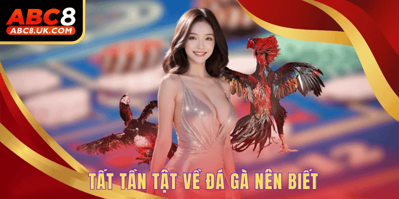 Tất tần tật về đá gà nên biết