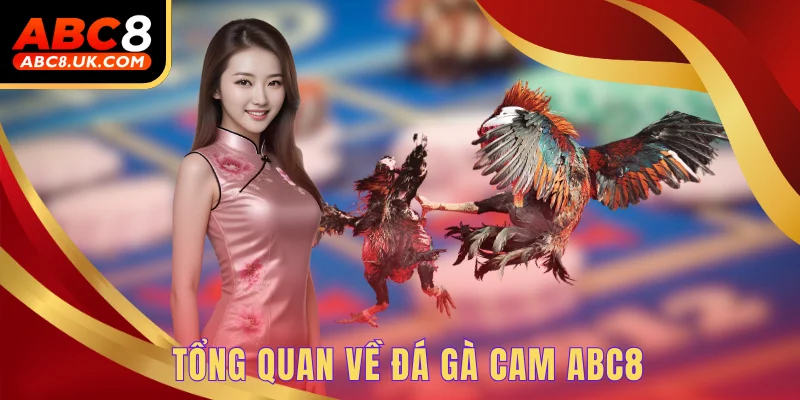 Tổng quan về đá gà Cam ABC8